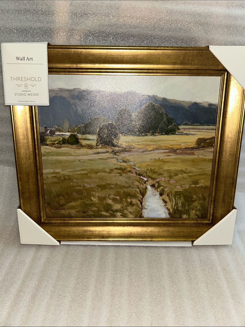 Studio McGee 16” x 14” Summer Pasture Framed Wall Art Brass